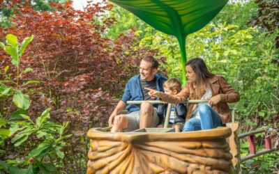 Que faire à Angers avec les enfants en 2025 ? Découvertes, loisirs, curiosités, …